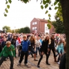 Festival - flashmob